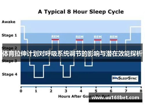 体育拉伸计划对呼吸系统调节的影响与潜在效能探析